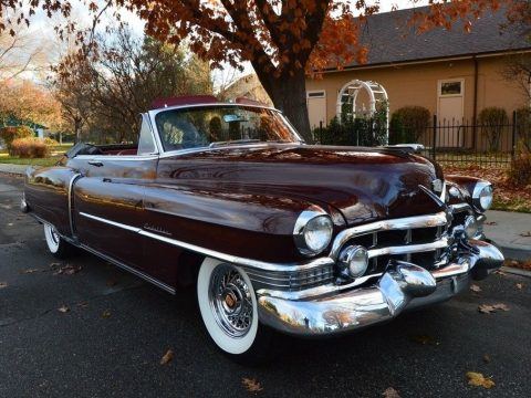 pampered survivor 1951 Cadillac Series 62 Convertible for sale