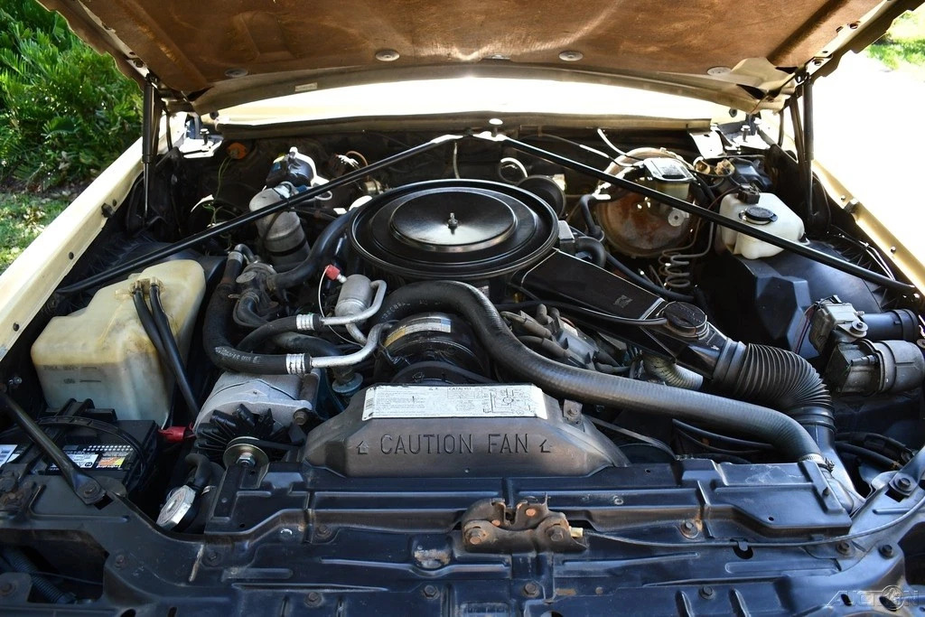 1980 Cadillac Eldorado Simply The best we Could find Mint In Every way